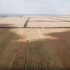 В Крыму увеличивают производство сельхозпродукции